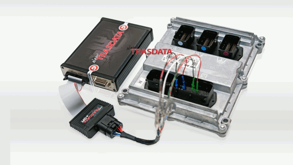 venta_activacion_protocolos_new_trasdata_dimsport