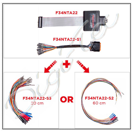 comprar Kit completo E-GPT para New Trasdata de Dim-sport -K34NTA22B-