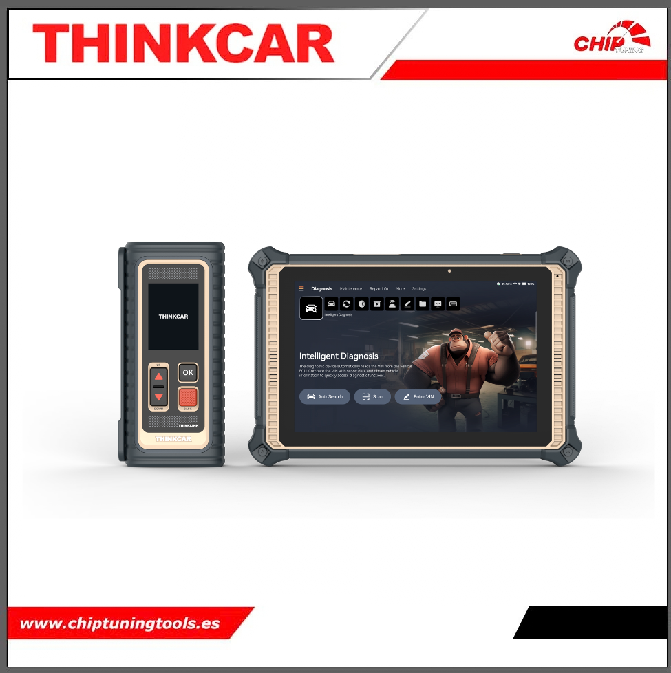 Diagnosis ThinkTool Expert 391