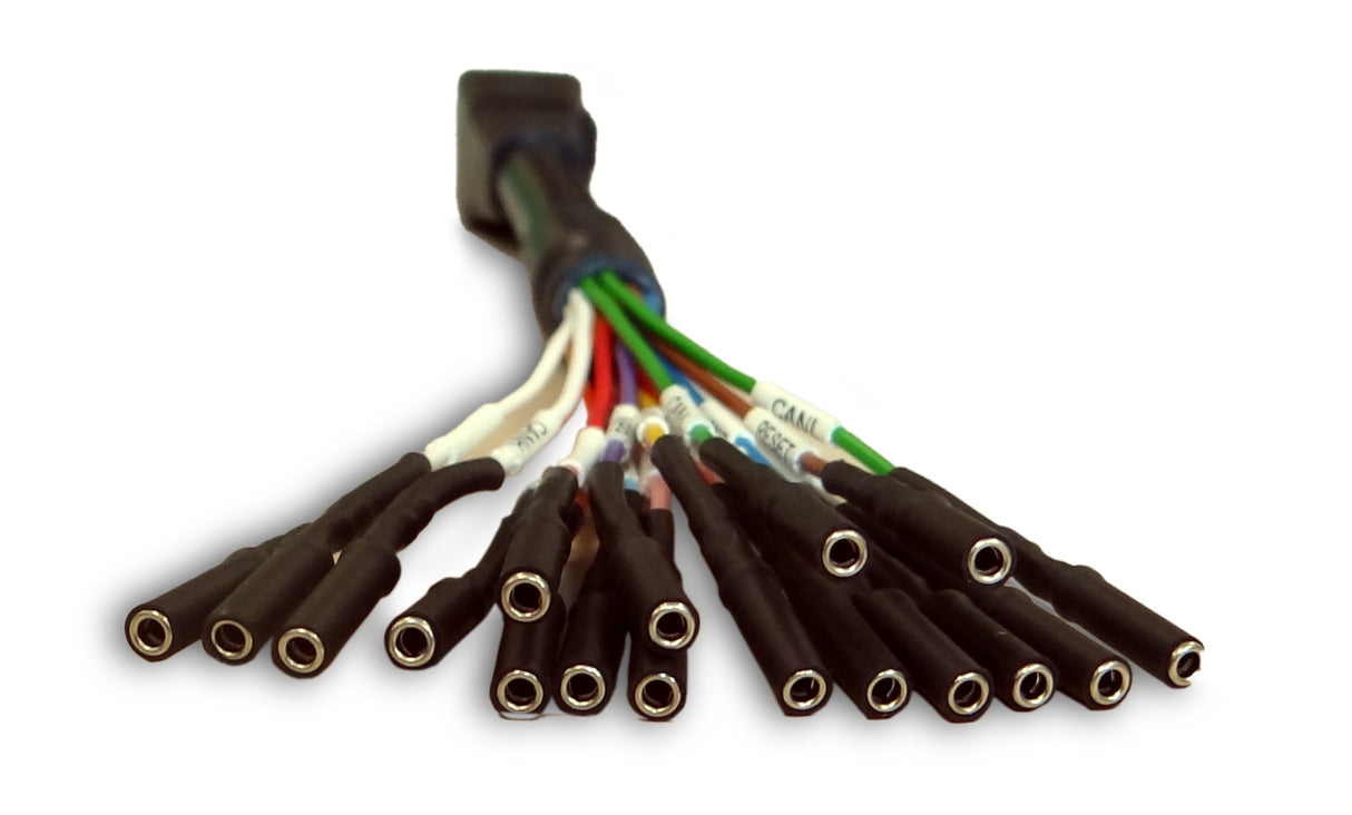 venta comprar Cable Multi-Fili para conexión ECU alientech -144300KBNC