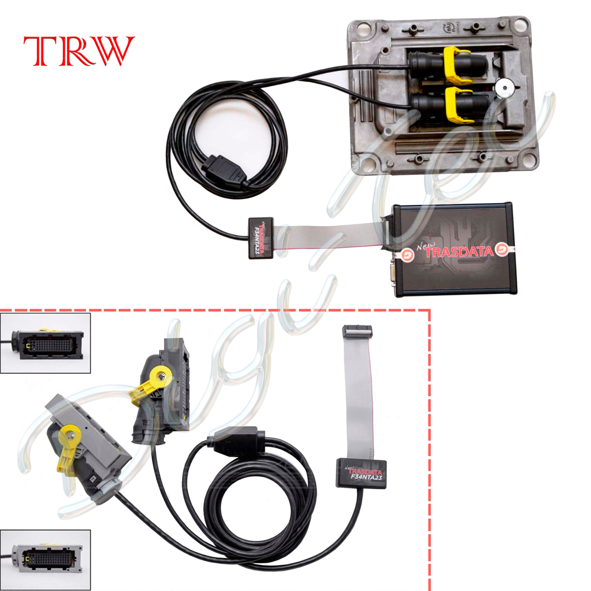 venta Cableado con conectores ECU TRW - F34NTA23